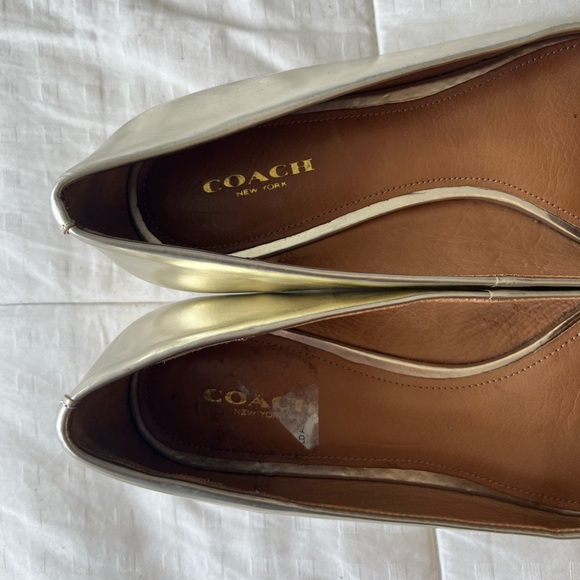 Rare Coach Walsh Metallic Nubuck Leather Point Toe Flats 8.5B - Picture 8 of 15